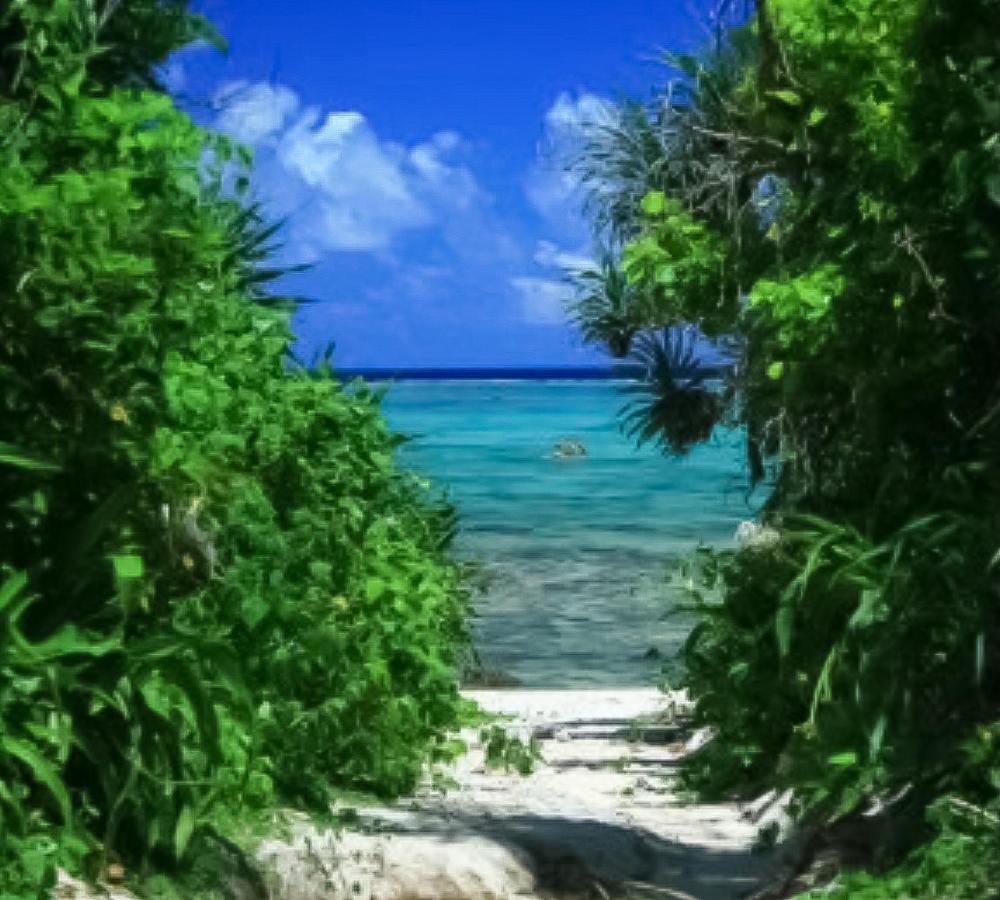 Palm Villa Ishigakijima Yugafu Ishigaki  Eksteriør bilde