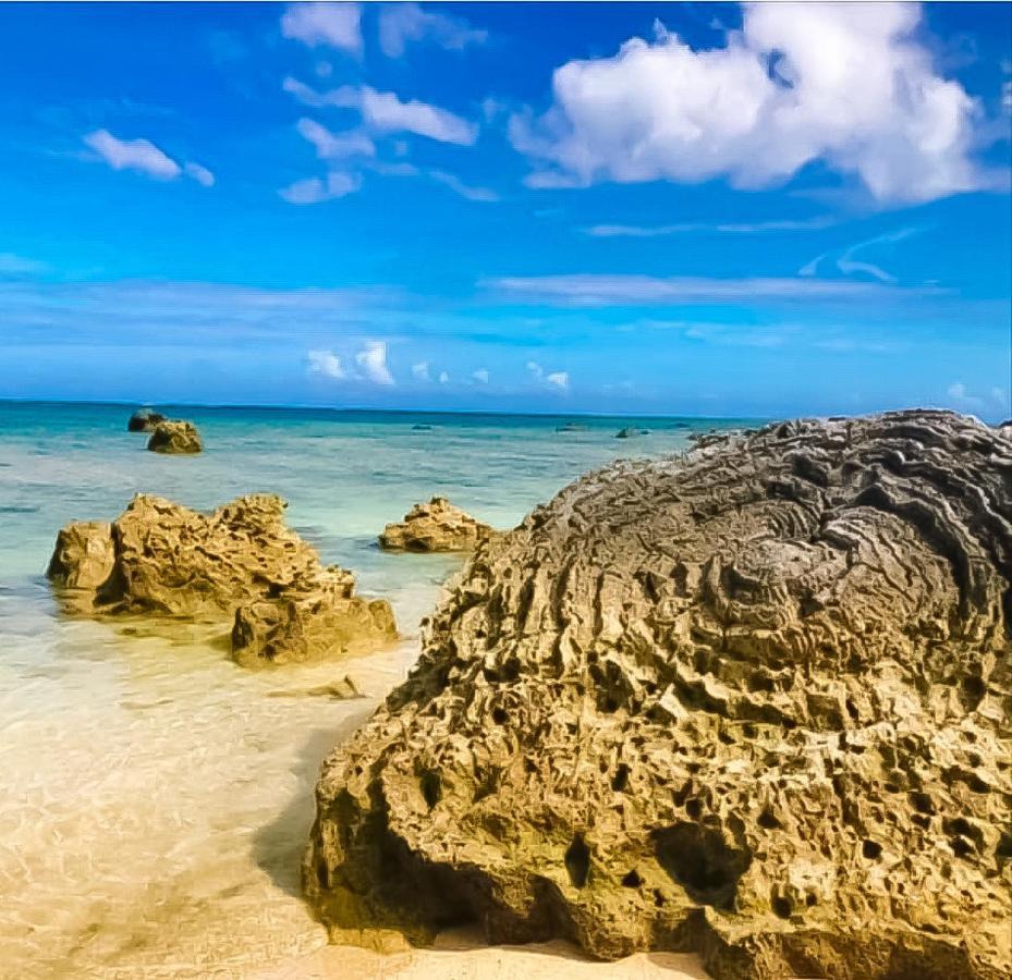 Palm Villa Ishigakijima Yugafu Ishigaki  Eksteriør bilde